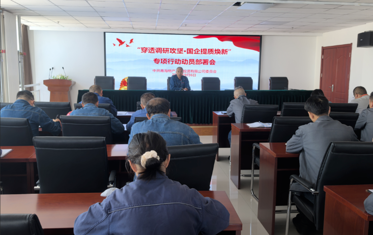 工投公司黨委召開“穿透調(diào)研攻堅(jiān)·國企提質(zhì)煥新”專項(xiàng)行動動員部署會