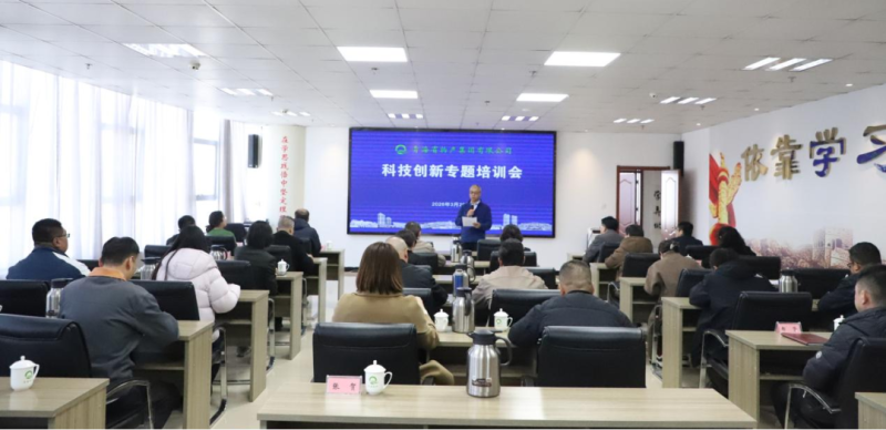 創(chuàng)新賦能 聚力發(fā)展&mdash;&mdash;集團舉辦科技創(chuàng)新專題培訓(xùn)會