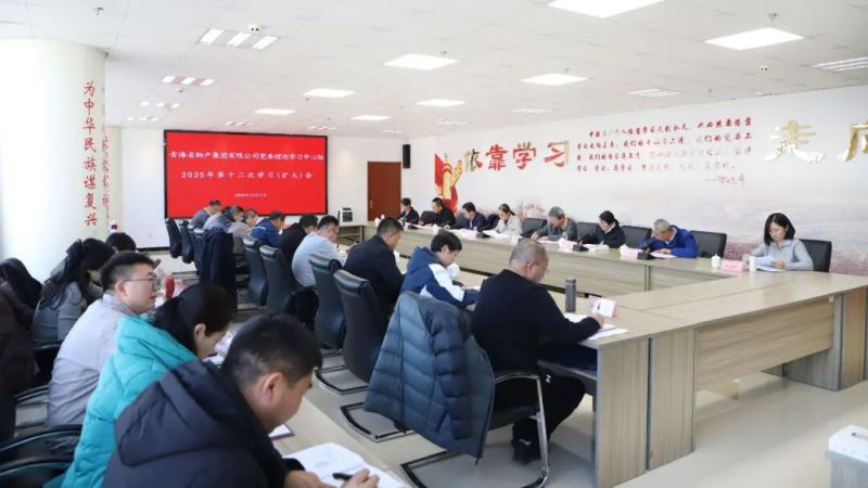 集團(tuán)黨委理論學(xué)習(xí)中心組召開2025年第十二次學(xué)習(xí)（擴(kuò)大）會(huì)