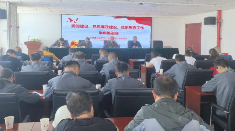 工投公司黨委召開(kāi)黨的建設(shè)、黨風(fēng)廉政建設(shè)、意識(shí)形態(tài)工作半年推進(jìn)會(huì)