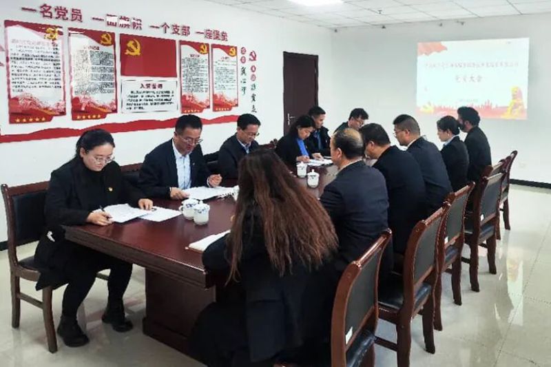 中國共產(chǎn)黨臨空公司黨員大會勝利召開