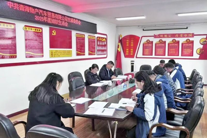 汽貿(mào)公司黨支部召開(kāi)2025年度組織生活會(huì)